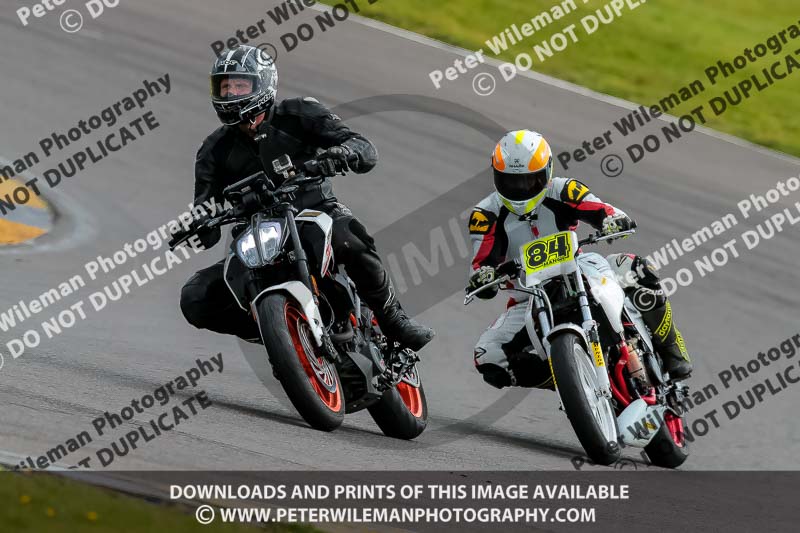 PJ Motorsport 2019;anglesey no limits trackday;anglesey photographs;anglesey trackday photographs;enduro digital images;event digital images;eventdigitalimages;no limits trackdays;peter wileman photography;racing digital images;trac mon;trackday digital images;trackday photos;ty croes